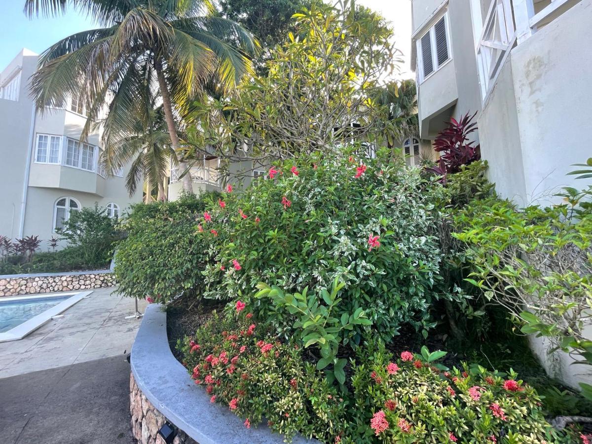 Hummingbird Retreat - Luxury Oceanview Apt, 7-Minute Walk To Beach Ocho Rios Exterior foto